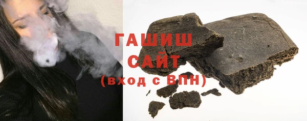 гашик Алексин
