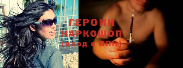 гашик Алексин