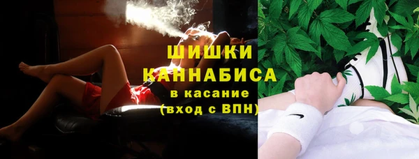 гашик Алексин