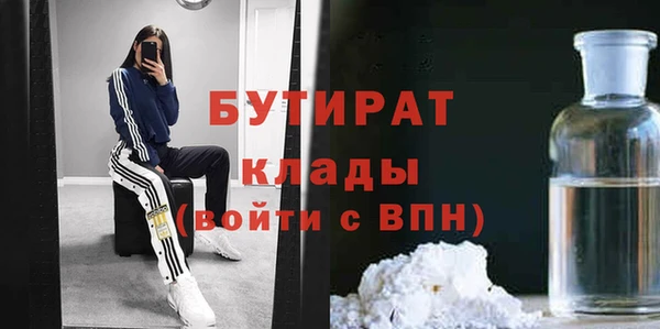 гашик Алексин