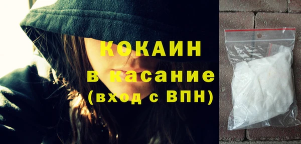 гашик Алексин